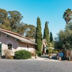 San Francisco: Half-Day Wine Country Excursion with Tastings - Scenic Drive Over the Golden Gate Bridge and Through Sausalito