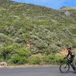 San Francisco: Marin Headlands Gravel Biking Tour +GG Bridge - Exploring the Marin Headlands and San Francisco with Gravel Trails