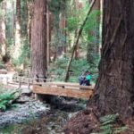 San Francisco: Muir Woods and Sausalito Small Group Tour - Pick-Up and Meeting Details for Flexible Departures