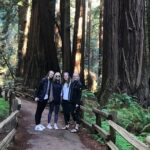 San Francisco & Muir Woods Full Day Small Group Private Tour - Visiting San Francisco Landmarks with Ease