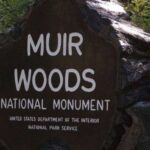 San Francisco: Muir Woods, Sausalito, and Tiburon Day Trip - Crossing the Iconic Golden Gate Bridge