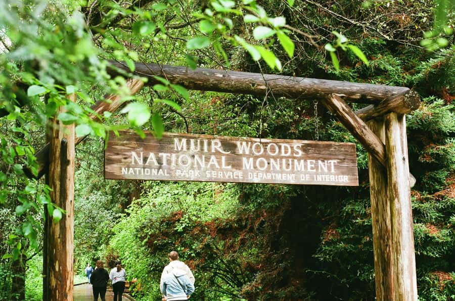 San Francisco: Muir Woods, Sausalito, & Battery Spencer Tour - Crossing the Golden Gate Bridge and Visiting Fort Point