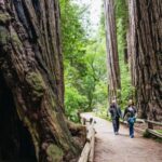 San Francisco: Muir Woods & Sausalito Tour with Ferry Option - Starting Point and Transportation Details