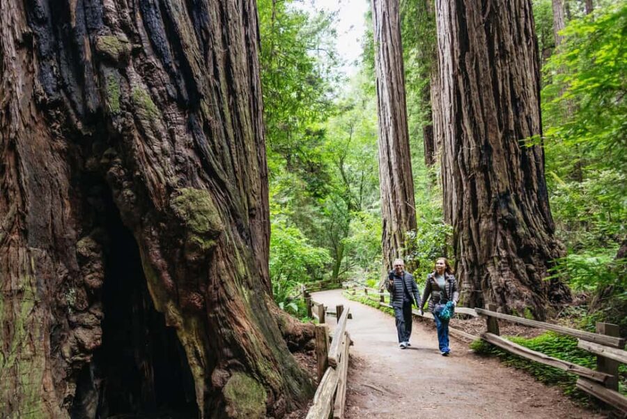 San Francisco: Muir Woods & Sausalito Tour with Ferry Option - Starting Point and Transportation Details