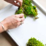 San Francisco Photo Tour with a Private Photographer - Starting Point: A Scenic Pier Facing the San Francisco Skyline