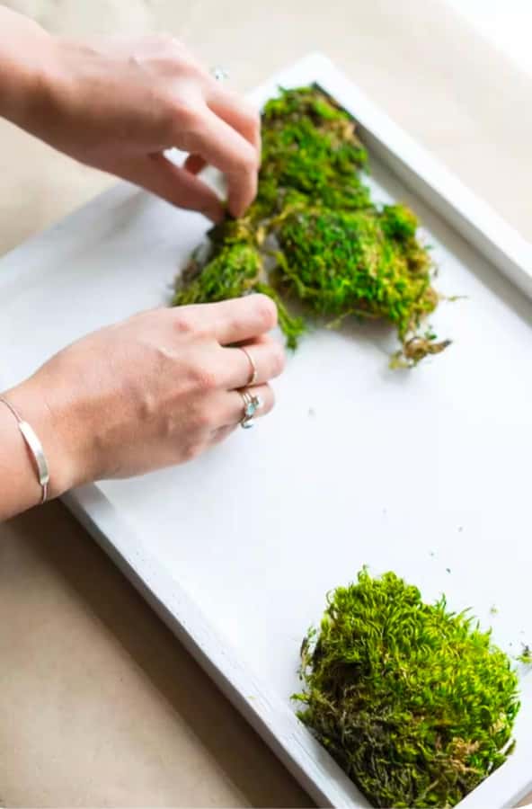 San Francisco Photo Tour with a Private Photographer - Starting Point: A Scenic Pier Facing the San Francisco Skyline