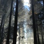 San Francisco Private Tour: Hidden Gems & Highlights by a Local - Customizable Itinerary Focus