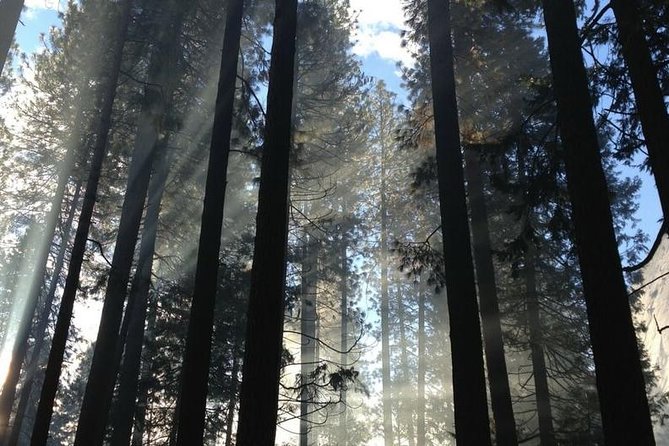 San Francisco Private Tour: Hidden Gems & Highlights by a Local - Customizable Itinerary Focus