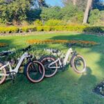 San Francisco: Summer of Love Guided eBike Tour - Riding Through the Cultural Heart of Haight Ashbury