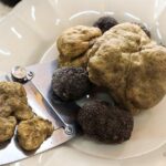 San Gimignano Truffle Hunt & Truffle Cooking Class - Truffle Hunting with Dogs and a Skilled Guide