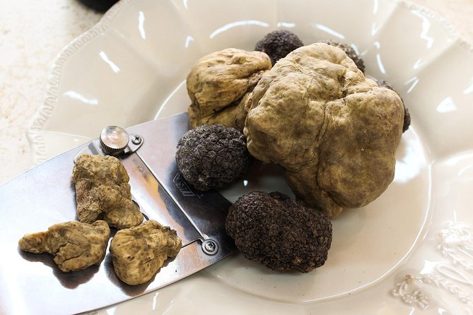 San Gimignano Truffle Hunt & Truffle Cooking Class - Truffle Hunting with Dogs and a Skilled Guide