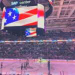 San Jose: San Jose Sharks Ice Hockey Game Ticket - Seat Options and Their Locations at SAP Center