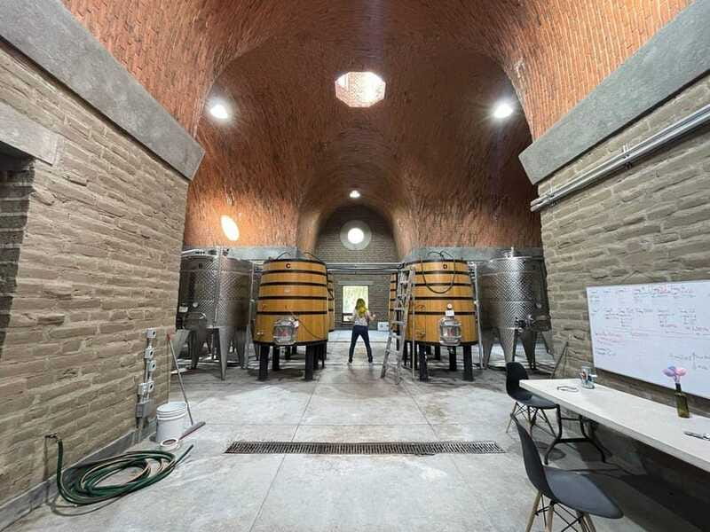 San Miguel de Allende: A Journey Through Vineyards - From San Miguel de Allende to the Vineyard Countryside