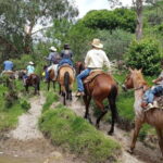 San Miguel de Allende: Full-Day Ranch Adventure - Convenient Starting Point Near San Miguel de Allende
