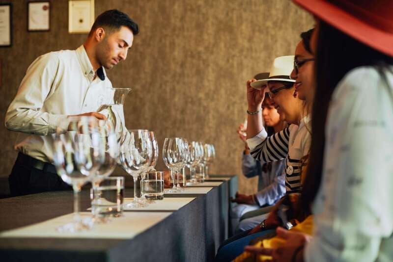 San Miguel de Allende: Independence Valley Wine Route - Visiting Tres Raíces Winery: From Vineyards to Viewpoints