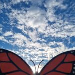 San Miguel de Allende: Monarch Butterflies Tour - Starting Point and Meeting Details in San Miguel de Allende