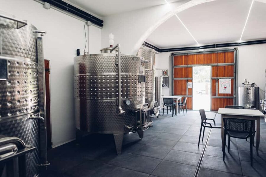 San Miniato: Wine Tour in a Family-Run Tuscan Winery - Behind-the-Scenes in the Cellar