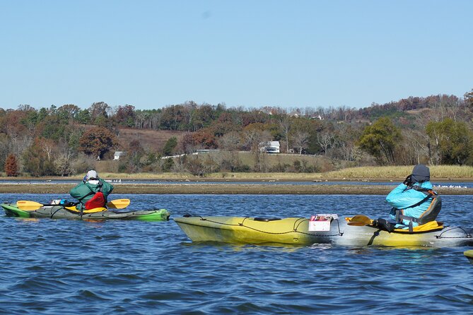 Sandhill Crane Kayak Tour with Chattanooga Guided Adventures - What the Tour Includes: Gear, Guides, and Bird-Watching Tools