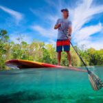 Sanford: Guided SUP or Kayak Manatee-Watching Tour - Exploring the Cypress Waterways of Sanford