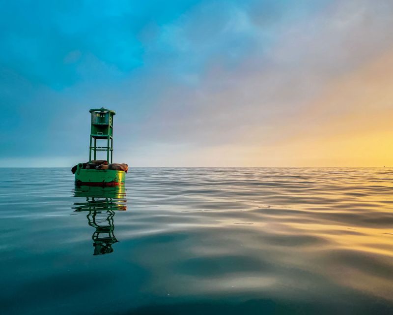 Santa Barbara Harbor: Sunset Kayak Tour (2 Hours) - Exploring Santa Barbara Harbor and Shoreline