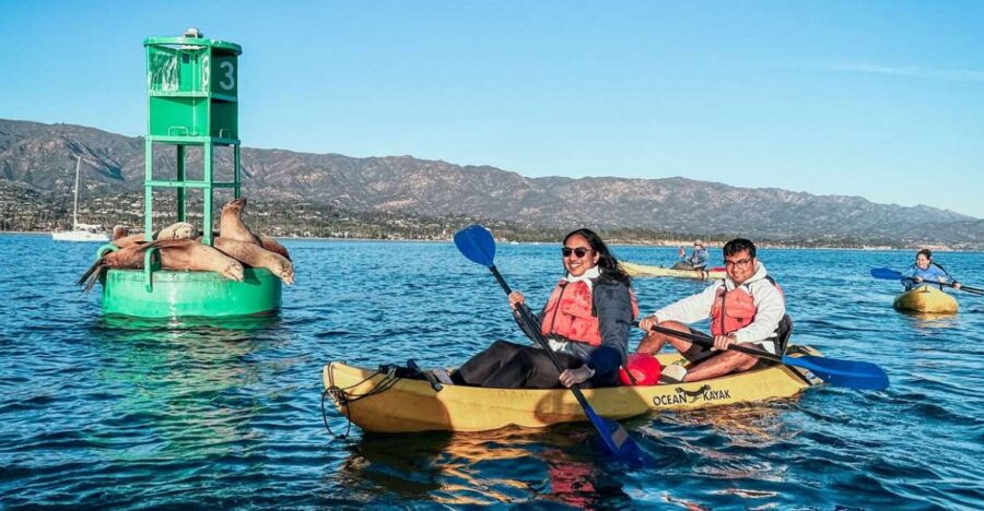Santa Barbara Harbor: Wildlife Kayak Tour (2 Hours) - What Is Included in the Tour