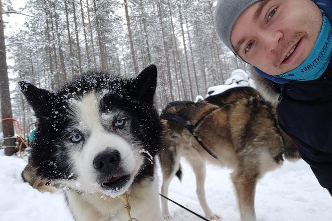 Santa Claus Village Guided Tour & Arctic Animals Adventure - Husky Ranch and the 2km Long Sled Ride