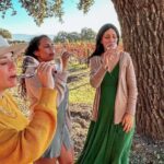 Santa Ynez: Private Wine Tour - Pickup and Departure from Santa Barbara or Santa Ynez