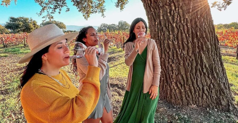 Santa Ynez: Private Wine Tour - Pickup and Departure from Santa Barbara or Santa Ynez