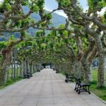 Santoña: Anchovy Factory & Boat Trip with tickets-small groups - Visiting the Conservas Emilia Factory and Tasting Opportunities