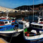Santoña: Anchovy Factory Tour and Boat Trip - Exploring the Anchovy Factory: "Conservas Lavin"