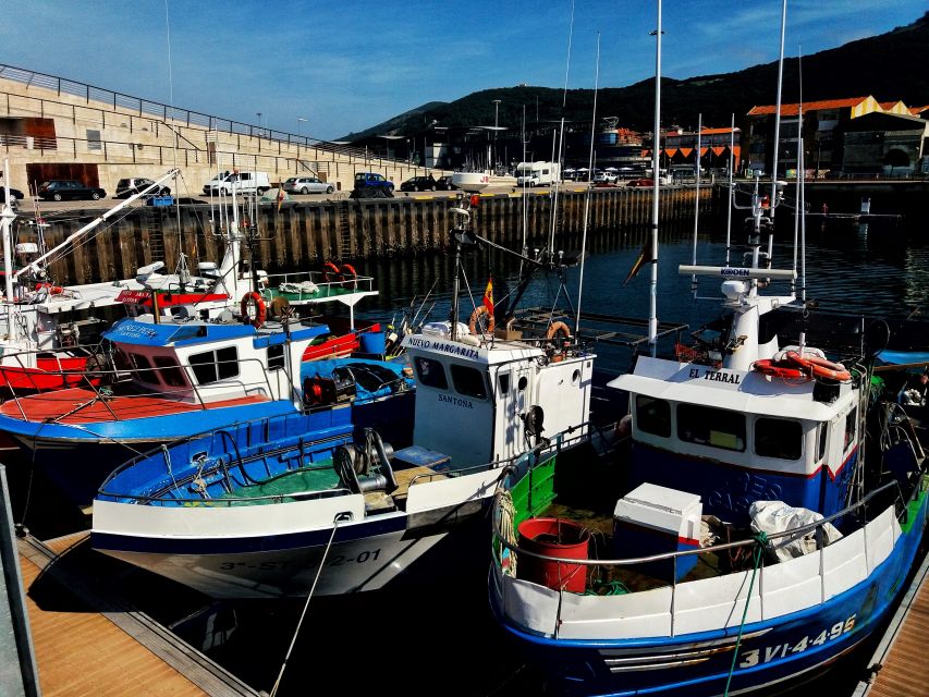 Santoña: Anchovy Factory Tour and Boat Trip - Exploring the Anchovy Factory: "Conservas Lavin"
