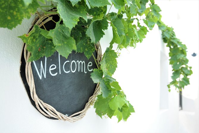 Santorini 3-Winery Tour with 12 Wine Tastings and Oia Sunset - Exploring Estate Argyros and Its Sunset View