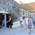 Santorini Wine Stories: Sunset Tour with Tasting & Dinner - Wine Tasting Experience at the Hilltop Vineyard