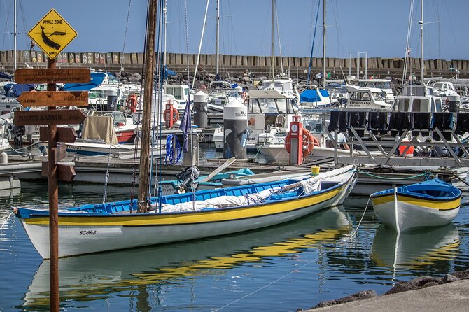 São Miguel: Azores Whaling Heritage Tour - Visiting the Fully Operational Senhora de Fátima Whaleboat