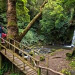 São Miguel Island: Chasing Waterfalls in the Azores Tour - The Waterfalls: Six Unique Natural Wonders