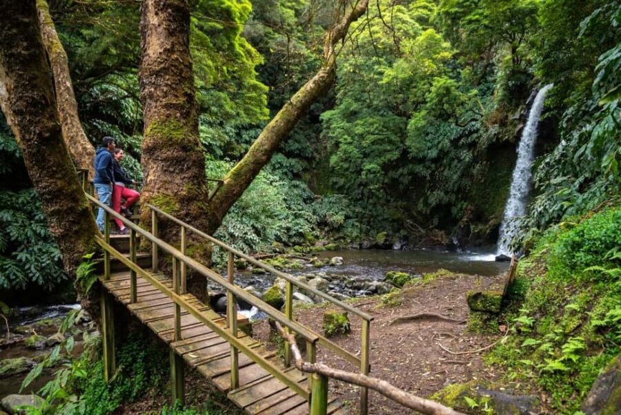 São Miguel Island: Chasing Waterfalls in the Azores Tour - The Waterfalls: Six Unique Natural Wonders