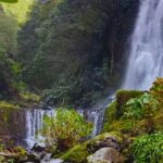 São Miguel: Majestic North Tour (Local Lunch Incl.) - Exploring Ribeira Grande and Seaside Views