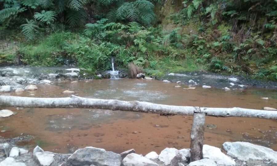 São Miguel: Whales & Volcano Full-Day Tour with Lunch - Starting the Day with Ponta Delgada Pickup and Scenic Coastline Drive