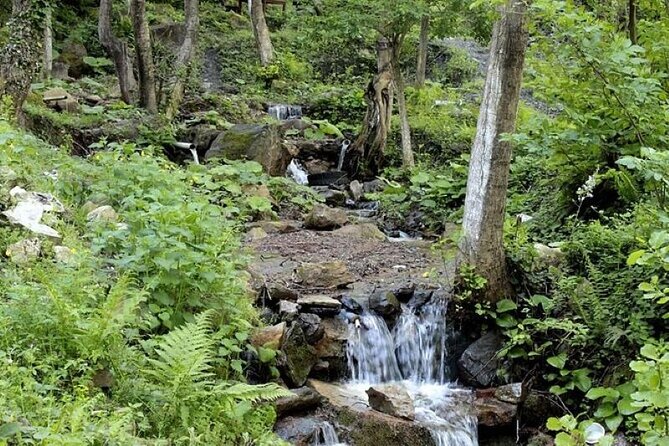 Sapanca and Masukiye from Istanbul with Lunch and Hotel pickup - Exploring Sapanca Lake’s Tranquil Shores