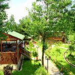 Sapanca Lake & Masukiye Tour From Istanbul - Comfortable Pickup and Transportation from Istanbul