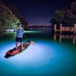 Sarasota - Clear Kayak LED Night Glass Bottom Tour - The Unique Feature: LED Lighting Brightening the Underwater World