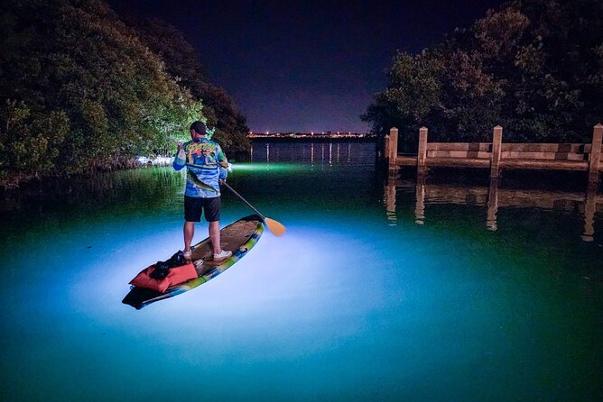 Sarasota - Clear Kayak LED Night Glass Bottom Tour - The Unique Feature: LED Lighting Brightening the Underwater World