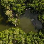 Sarasota Clear Kayak Tour - Wildlife Sightings and Marine Life Encounters