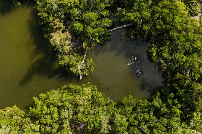 Sarasota Clear Kayak Tour - Wildlife Sightings and Marine Life Encounters