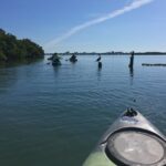 Sarasota Guided Mangrove Tunnel Kayak Tour - Sarasota’s Mangrove Tunnels: A Natural Waterway Adventure