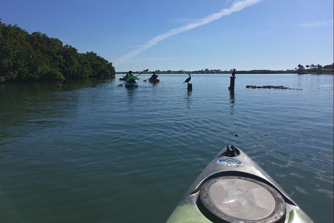 Sarasota Guided Mangrove Tunnel Kayak Tour - Sarasota’s Mangrove Tunnels: A Natural Waterway Adventure
