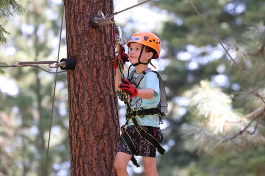 Sasquatch Hollow: Kids' Zipline Adventure - Sasquatch Hollow’s Unique Location and Setting