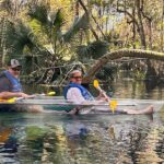 Sassy Silver Springs Kayak and Paddle Rental - What the 2-Hour Kayaking Experience Entails