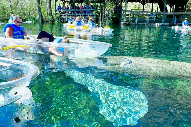 Sassys Silver Springs Kayak and Paddleboard Tours - Easy Booking and Meeting Logistics in Silver Springs