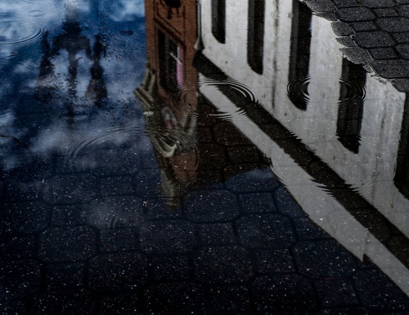 Savannah: Dead of Night Ghost Walking Tour - Starting Point at Oglethorpe Square in Savannah